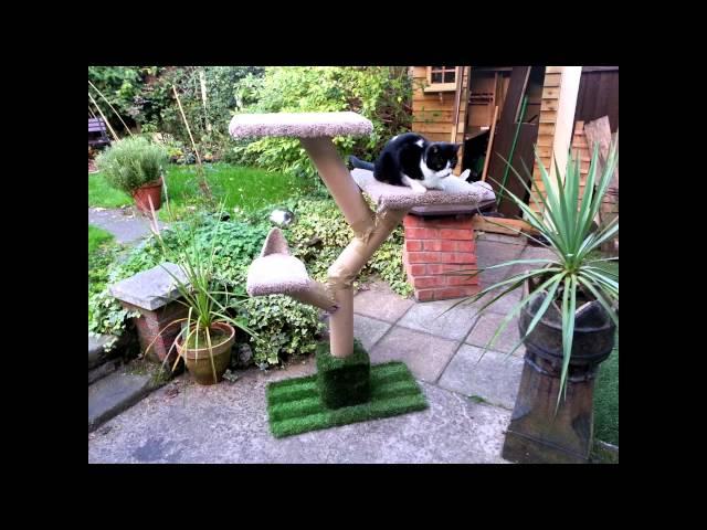 DIY Cat Tree for not a lot of money!