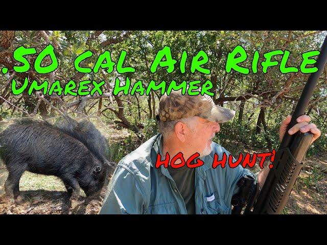 Umarex Hammer .50 Caliber I Big Bore Air Rifle I Airgun Hunt I Feral Hog