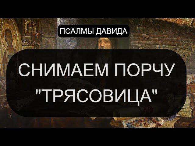 СНИМАЕМ ПОРЧУ "ТРЯСОВИЦА"