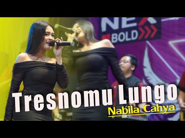 Tresnomu Lungo || [ lLIVE PERFORMNACE_FERDY MUSIC ] || Nabila Cahya