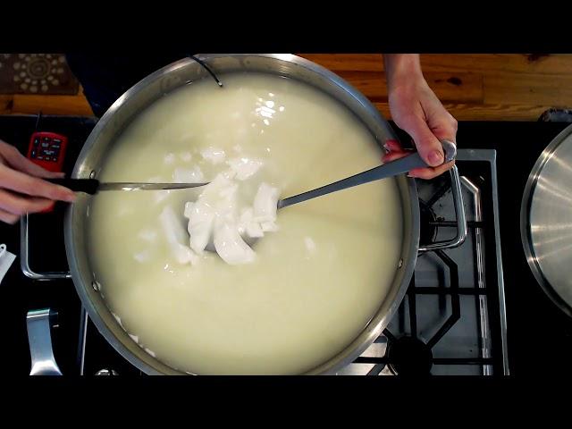 Goat Milk Jack- Cheesemaking at Home