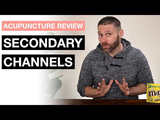 THE SECONDARY CHANNELS | Acupuncture Channels and Points