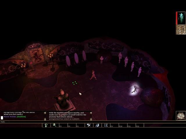 NeverWinter Nights Enhanced Edition - Joining a Server to See What it is Like