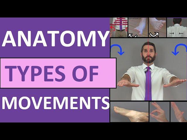 Body Movement Terms Anatomy | Body Planes of Motion | Synovial Joint Movement Terminology