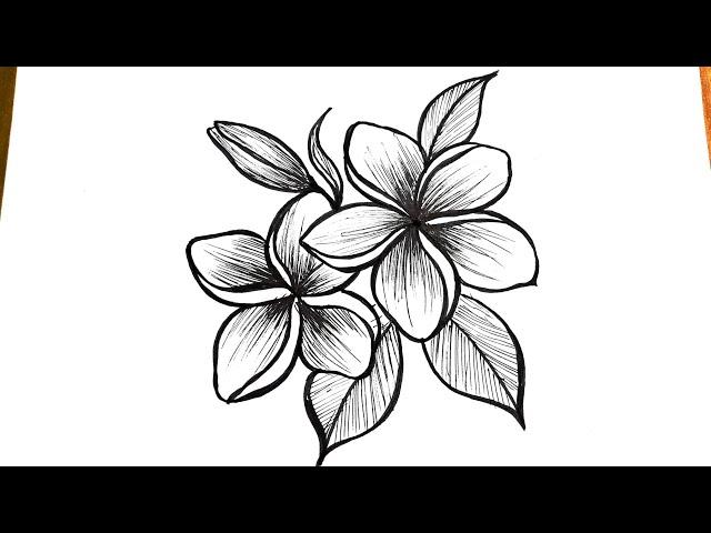 How to draw flowers easy || Flower drawing tutorial for beginners