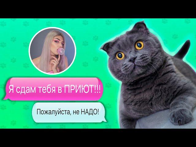 ПЕРЕПИСКА С ФЕЙКОМ | ЗЛАЯ ХОЗЯЙКА ХОЧЕТ СДАТЬ КОТИКА И ПЕСИКА В ПРИЮТ ! ПИТОМЦЫ ПРОТИВ!