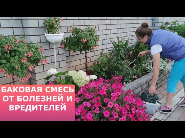 Баковая смесь от болезней и вредителей.