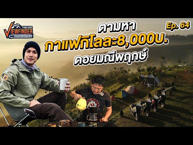 ตามหากาแฟกิโลละ 8,000บาท ที่ดอยมณีพฤกษ์ | Viewfinder ลุยทั่วทิศมิตรทั่วไทย EP.64