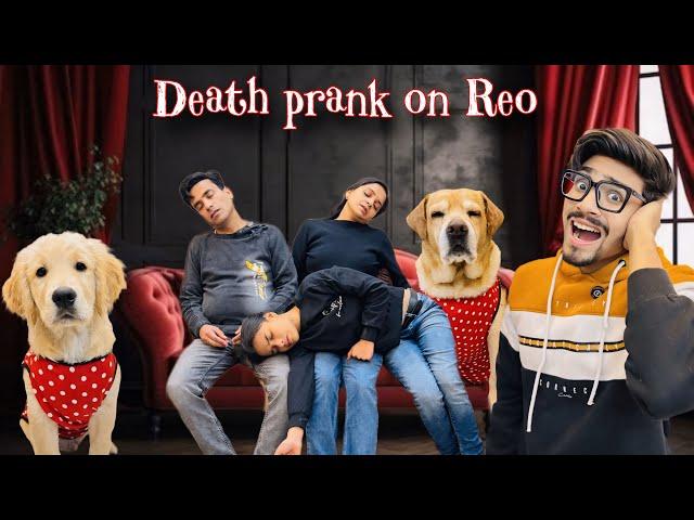 Death Prank On Reo | Leo Ne Kari Acting | Anant Rastogi