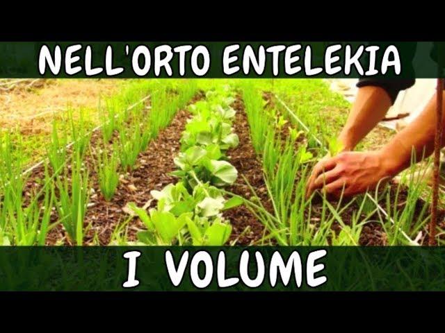 1° Volume INTEGRALE Documentario ORTO Entelekia Alessandro Montelli CAMPOMADRE Agriculture Evolutive