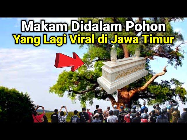 VIRAL..! MAKAM DALAM POHON LAGI VIRAL DI JAWA TIMUR