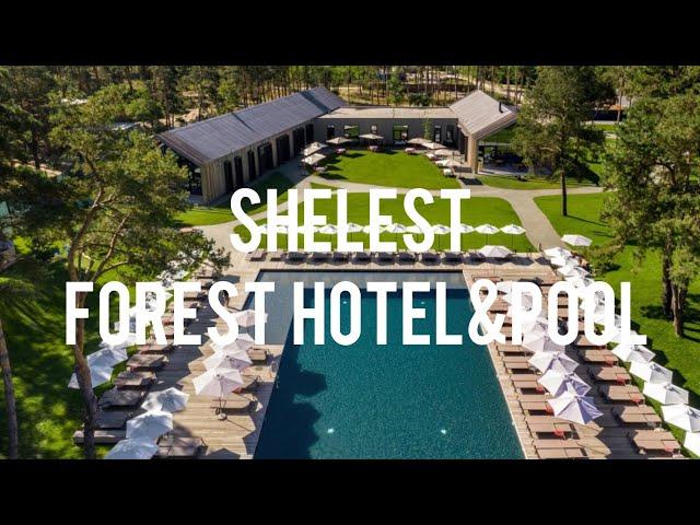 Shelest hotel and pool - лучший загородный комплекс в лесу возле Киева - свежий обзор, 2023