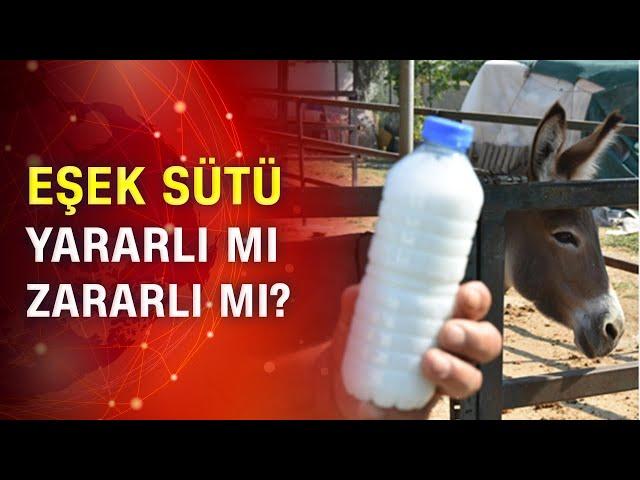 Eşek sütü yararlı mı zararlı mı?