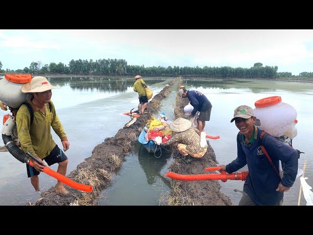 Cận Cảnh Nông Dân Miền Tây Gieo Xạ Lúa Giống Bằng Máy Phun-Sơn KaTV