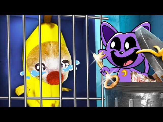 Banana Cat's Prison Break: A Hilarious Cat Nap Rescue!  Banana Cat Compilation | Happy Cat MEME 