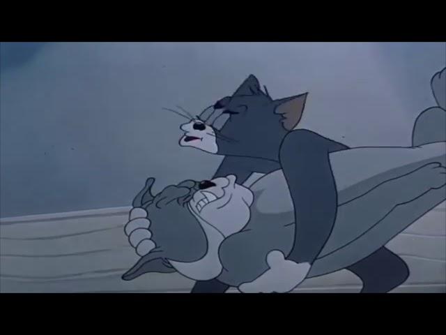 猫和老鼠(Tom and Jerry) To Be Continued Meme Compilation