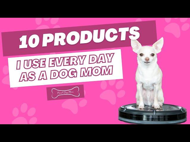 10 Products I Use Every Day As A Dog Mom