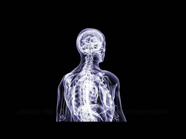 medical body roation xray 3d animation company human anatomy healthcare animation san antonio 3d vis