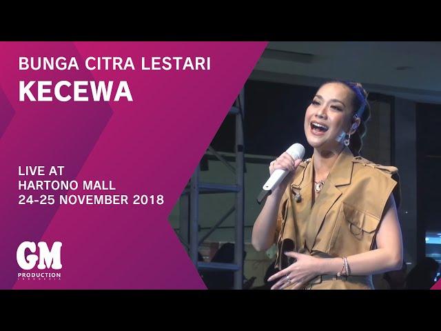 BCL - Kecewa [LIVE]