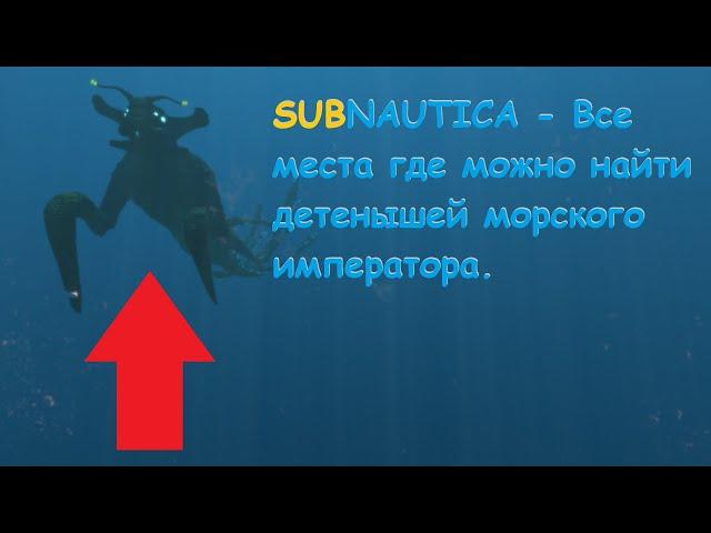 Subnautica - Все места где можно найти детенышей морского императора.