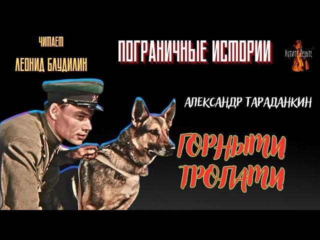 Пограничные Истории: ГОРНЫМИ ТРОПАМИ (автор: Александр Тараданкин).