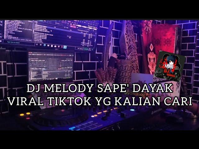 DJ SAPE' DAYAK X MELODY JEDAG JEDUG VIRAL TIKTOK (DJ BORNEO)