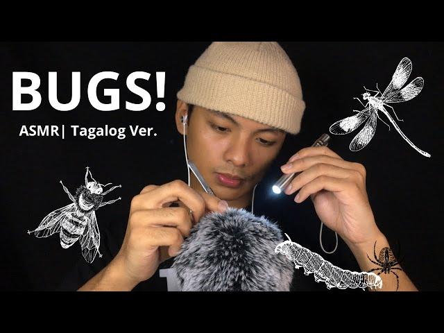 ASMR︱Bug Searching! (Tagalog Version) ~ most requested by my subscribers 