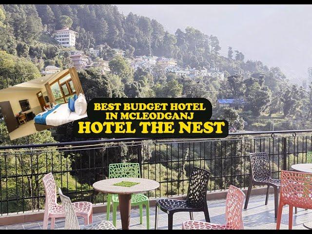 Best Budget Hotel In McLeod Ganj Near Main Market | Hotel The Nest | Budget Hotel In Dharamshala