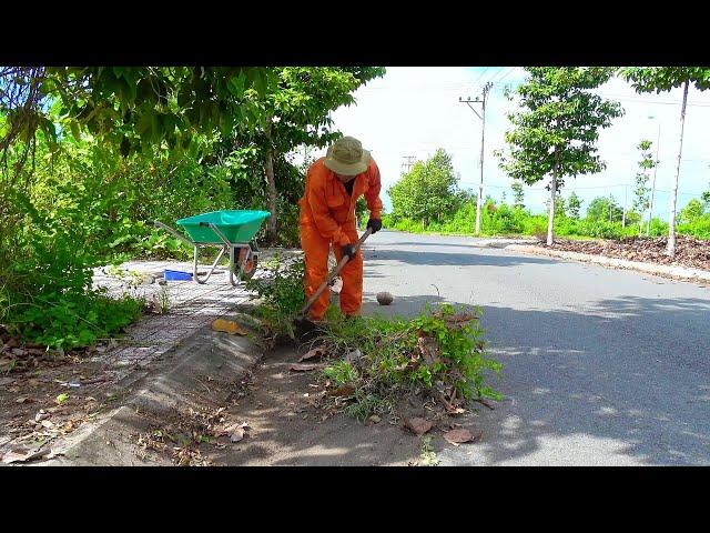 A beautiful sidewalk was neglected - the path was overgrown with weeds