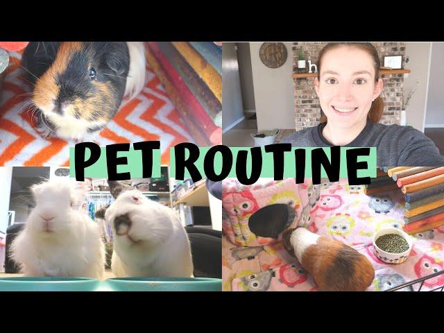 Taking Care of ALL My Animals! | DAILY PET CARE ROUTINE