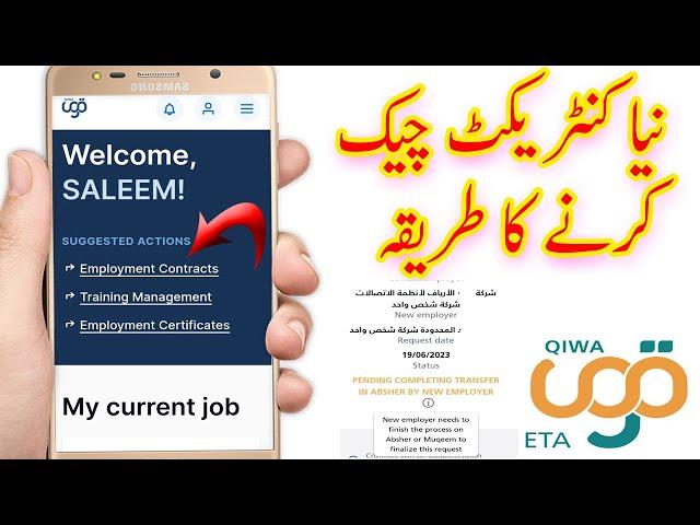 how to check new contract in qiwa saudi arabia