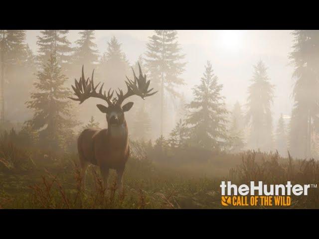 How to get all dlcs free in hunter call of the wild!
