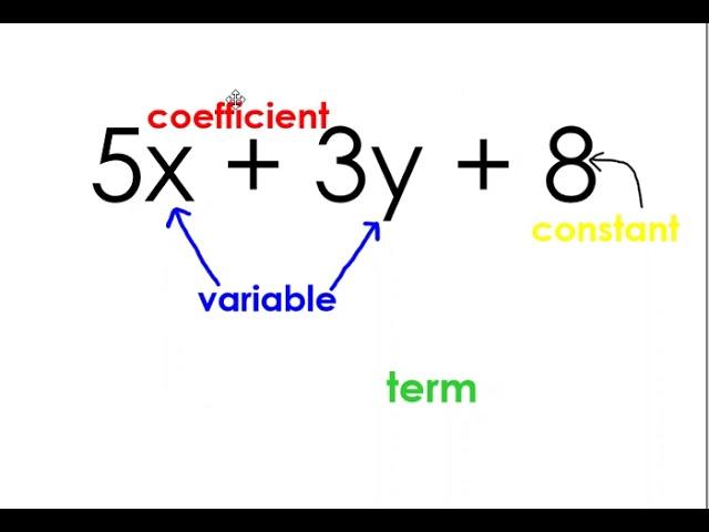 Coefficients, Constants, Variables, & Terms