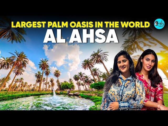 Al Ahasa- Inside World’s Largest Oasis & Greatest Wonder In Saudi Arabia | Curly Tales ME