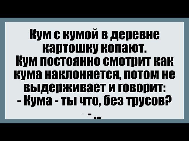 Кум с кумой в деревне - Смешные анекдоты