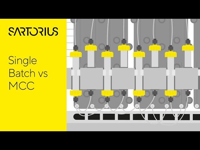 Traditional Batch vs Multi-Column Chromatography