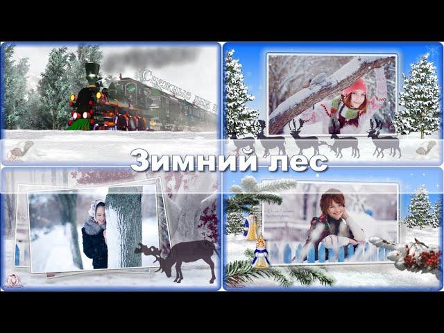 В зимнем лесу  |  проект  ProShow Producer |  In the winter forest