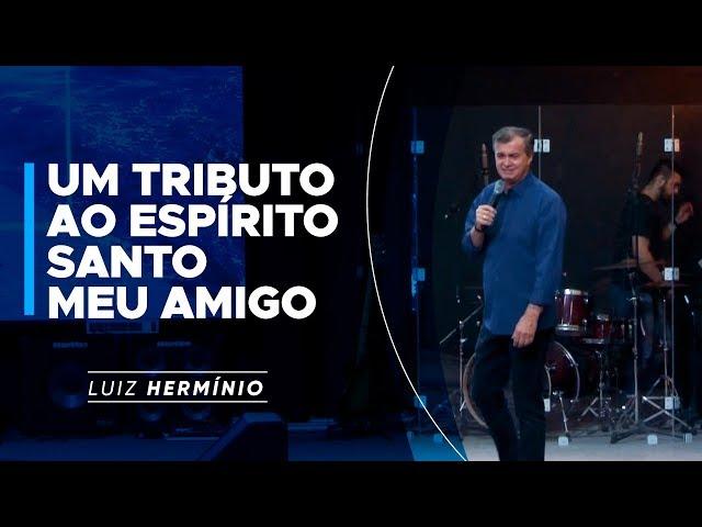 MEVAM OFICIAL - UM TRIBUTO AO ESPÍRITO SANTO MEU AMIGO - Luiz Hermínio