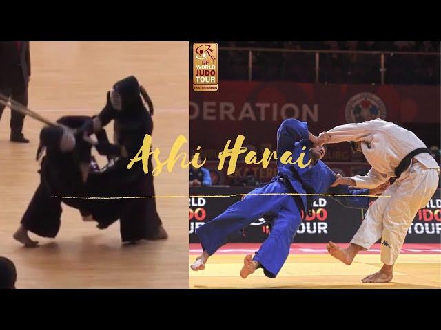 Kendo foot sweeps VS Judo foot sweeps