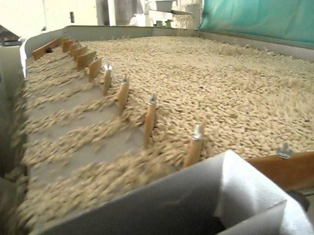 Akyurek Technology - Bean Gravity Separation Egypt