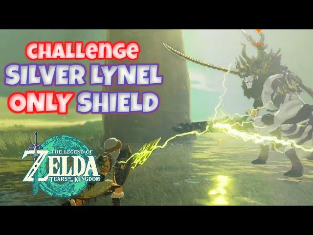 Zelda: Tears of the Kingdom - NEW SILVER LYNEL | CHALLENGE: ONLY SHIELD (No weapons)