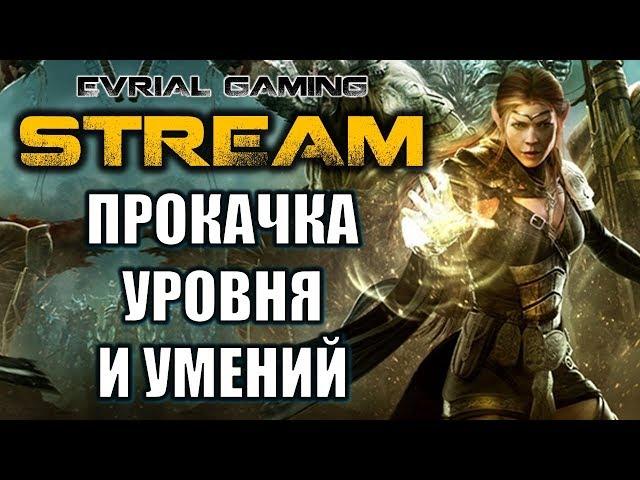 Neverwinter Online MMORPG Плут-ловкач Прокачка 25 уровень