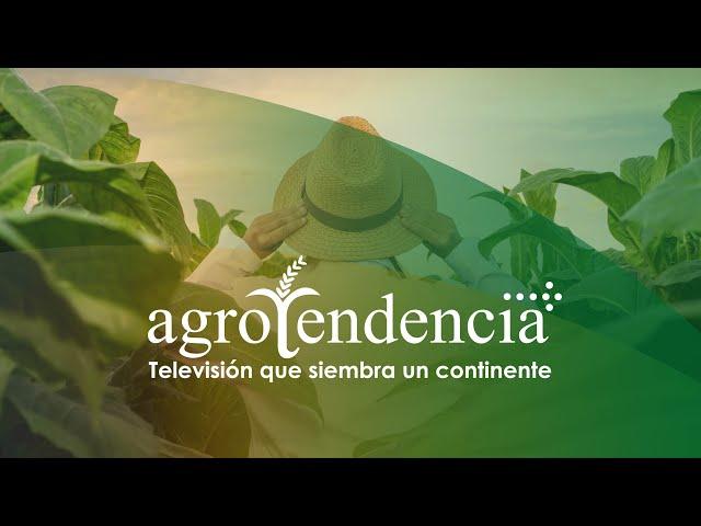 Agrotendencia TV | Televisión que siembra un continente