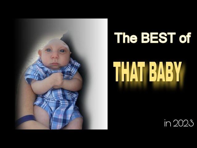 The Best of Custom Wood Burning's "Baby Compilations" in 2023