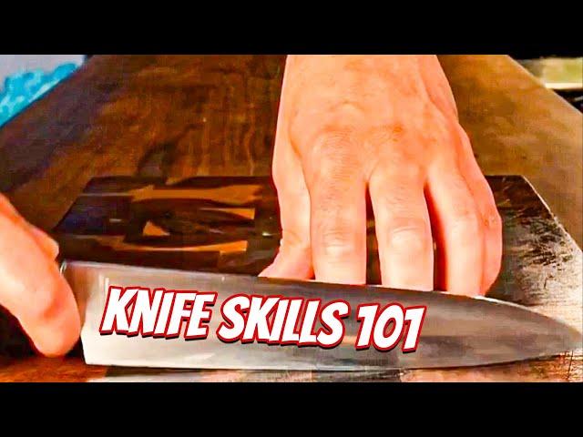 Professional Knife Skills 101