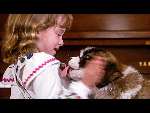 Tiny puppy becomes a big dog! | Beethoven | CLIP