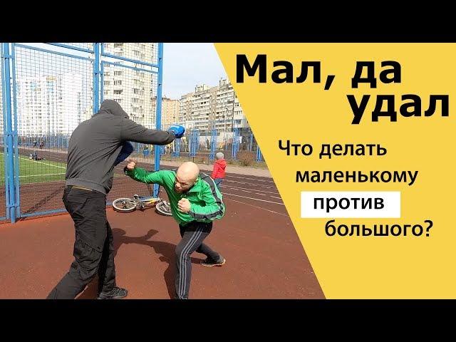 Маленький против большого  / как победить в драке если ты слабее / мал да удал