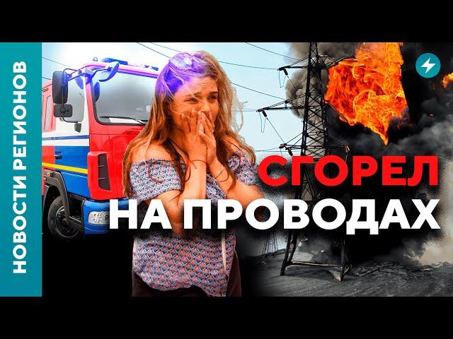 Страшные ДТП в Гродно / Зеленхоз не справляется с травой / Сгорели телята // Новости регионов