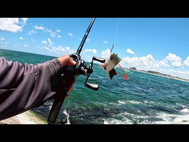 Jetty Fishing with Cut Bait EPIC Results (Catch & Cook) Packery Channel