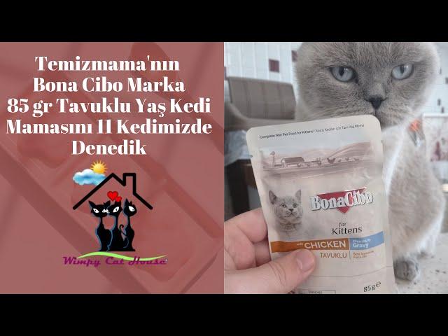 Temizmama'nın BonaCibo Marka 85 gr Tavuklu Yaş Kedi Mamasını 11 Kedimizde Denedik